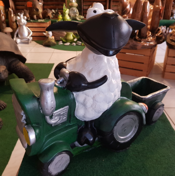 Schaf Molly auf grünen Traktor
